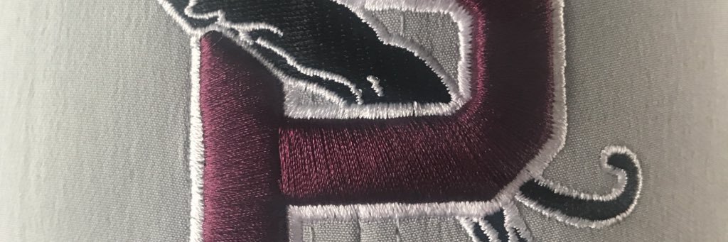 PauldingBall's profile banner image