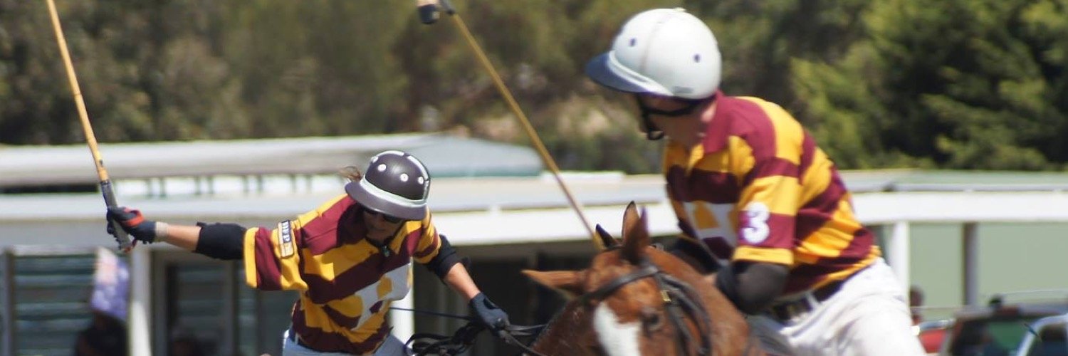HexhamPoloClub's profile banner image