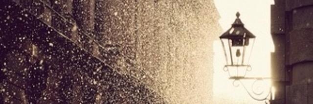 lovelymusing's profile banner image