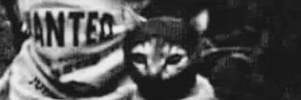 djbrlt's profile banner image