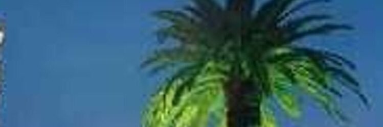 Vedat_Lyon's profile banner image