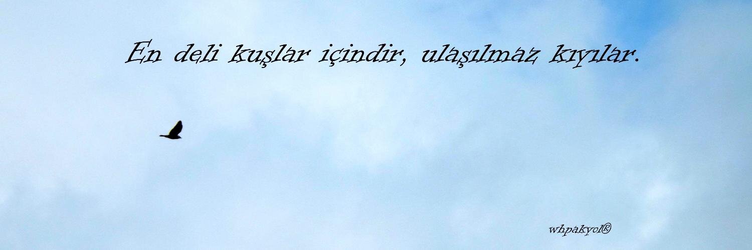 whpakyl's profile banner image