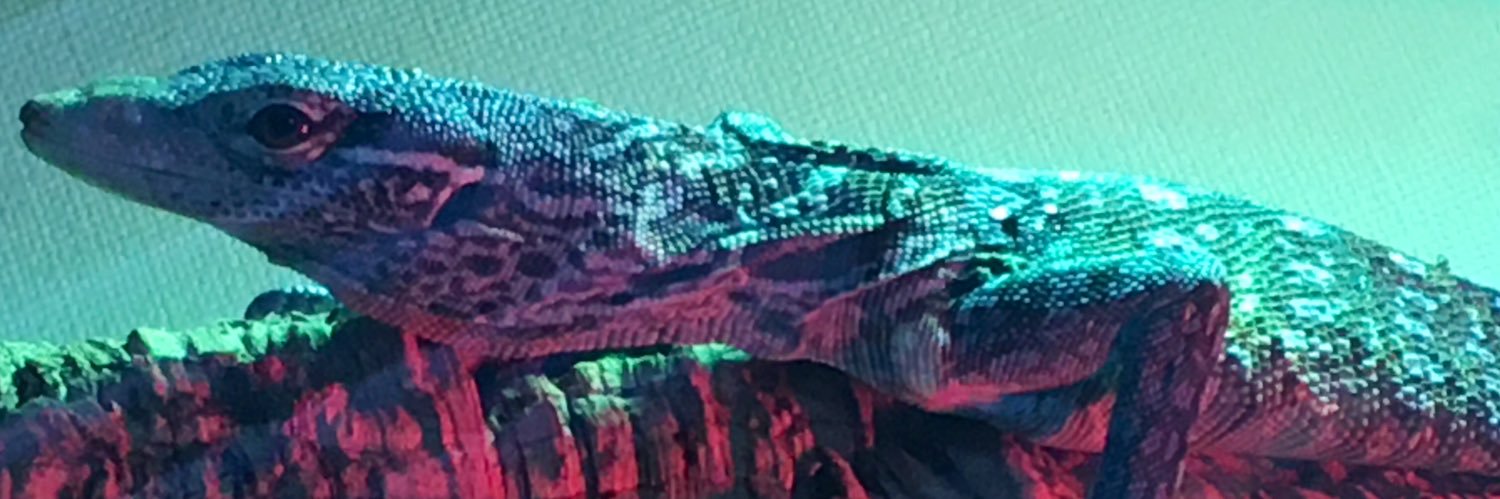 shusama07's profile banner image