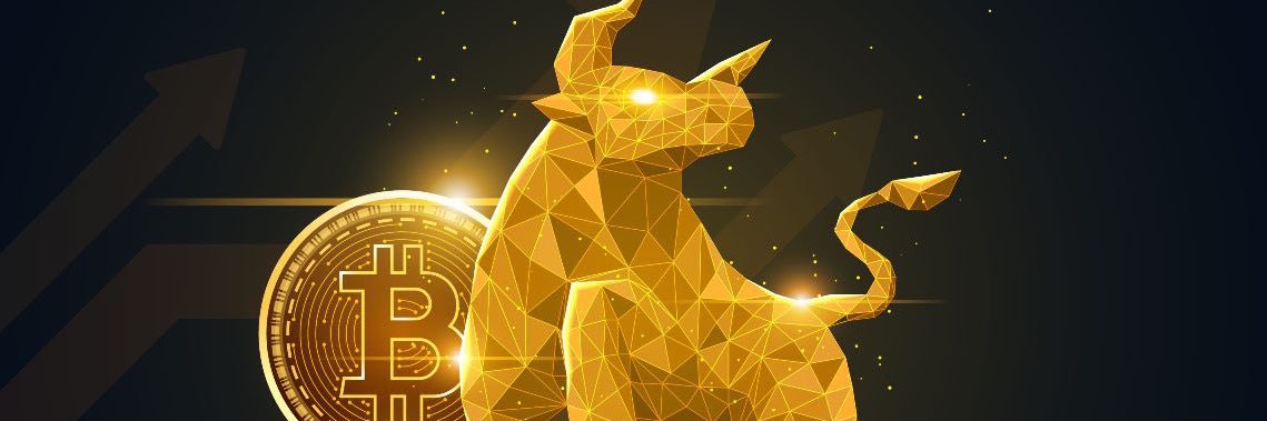 hamizoxe's profile banner image