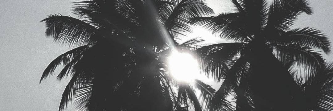 FranPalliniOK's profile banner image