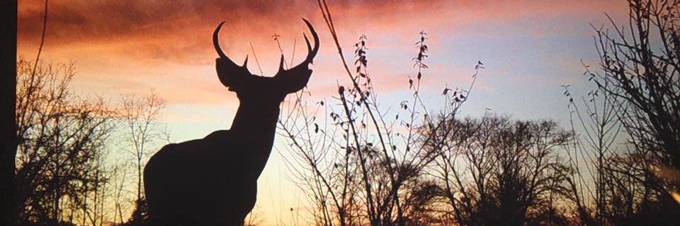Pastor_JasonMC's profile banner image