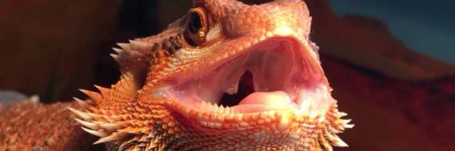 bainsontoastt's profile banner image