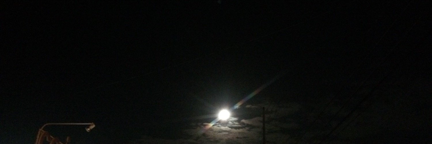 あるこいりす🤾‍♀️🍒🌈七味 banner