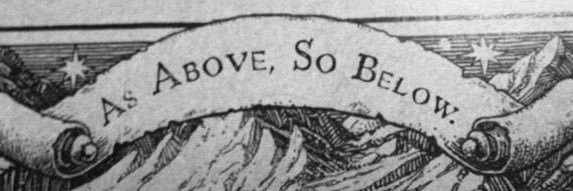 Amy banner