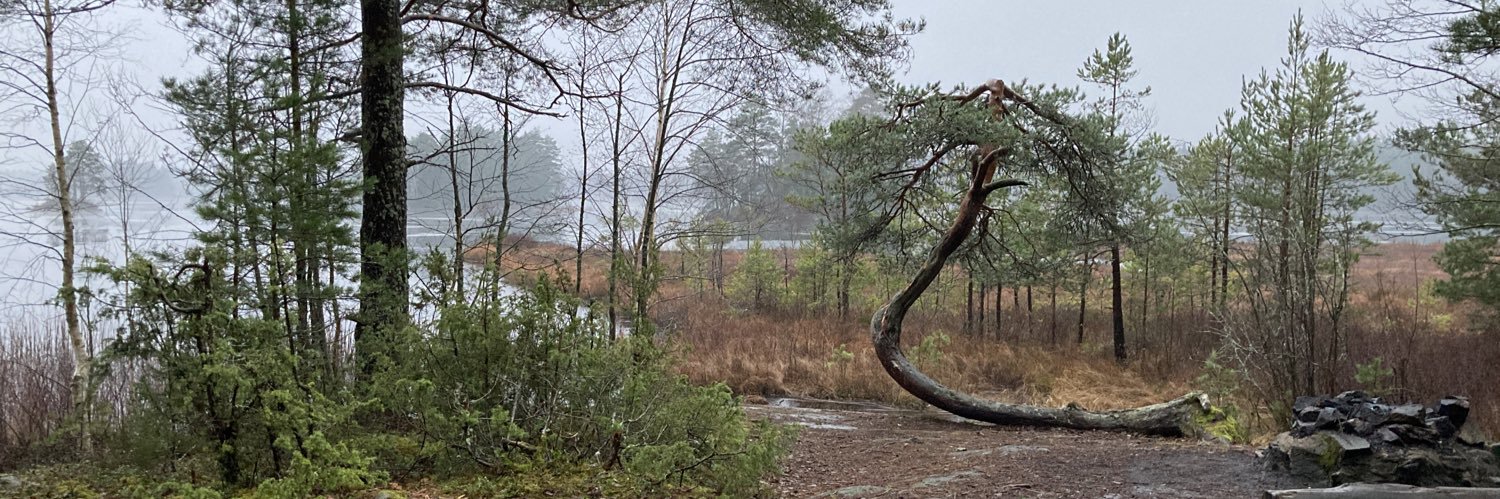 PositivDenken 🤯 (no parody) banner