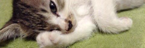 back_dirt's profile banner image