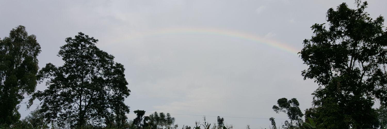 Patrick Mugenyi banner