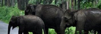 Bd71Syed's profile banner image