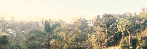 martinwallstrom Profile Banner