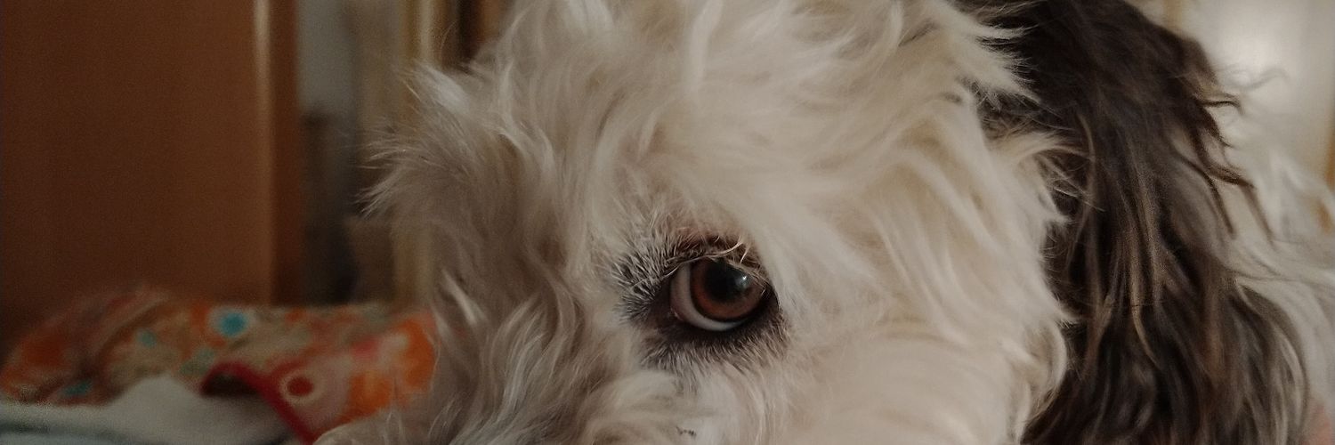 NeereaBl's profile banner image