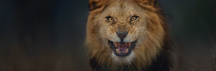 _laash13's profile banner image