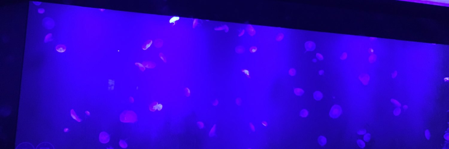 juutwang's profile banner image