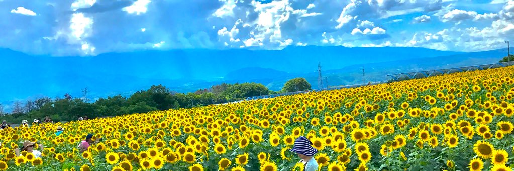 086_h's profile banner image