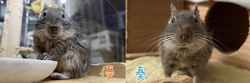 あーさー banner