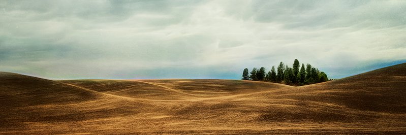MScott_Photo's profile banner image