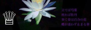 hn_VxT's profile banner image