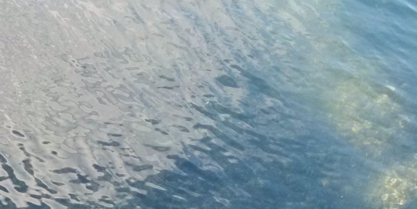 bataiwu's profile banner image