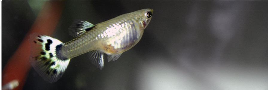 simonmreader's profile banner image