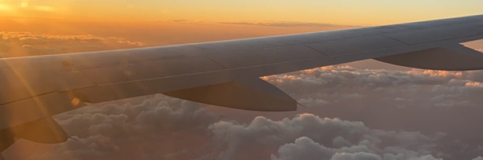 courtttf's profile banner image