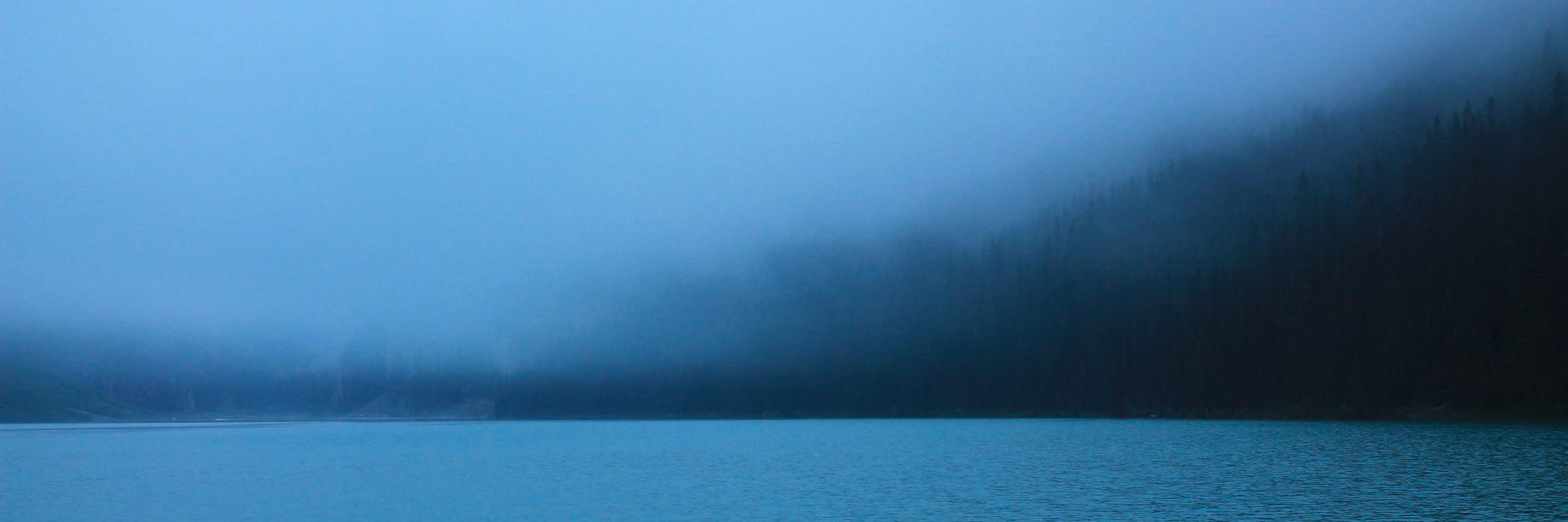 Caroline Holbrook banner