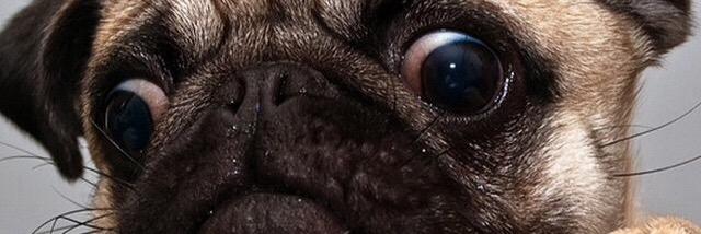 sdubcity's profile banner image