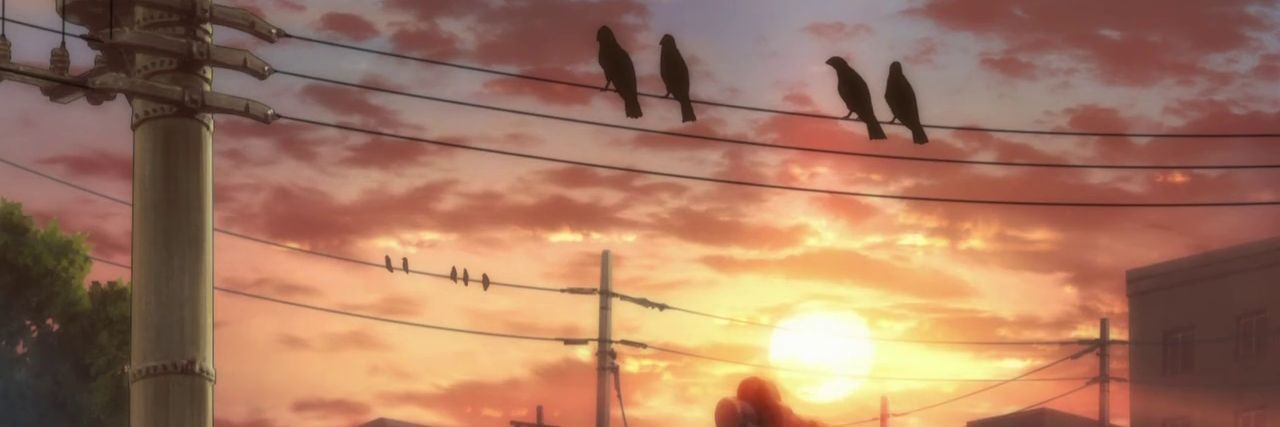 22Sarim's profile banner image