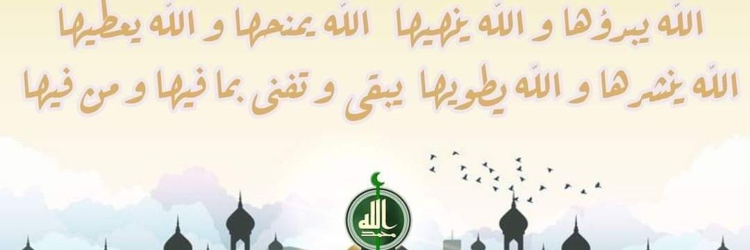 MaMAlhwary's profile banner image