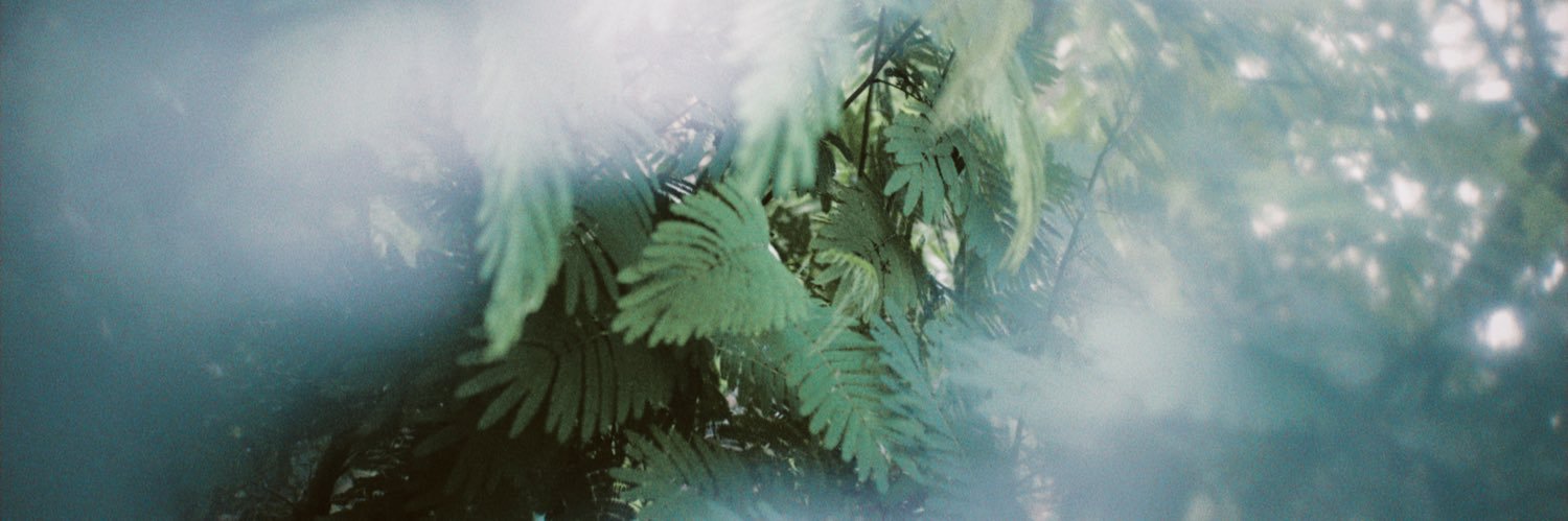 dimjalingga's profile banner image