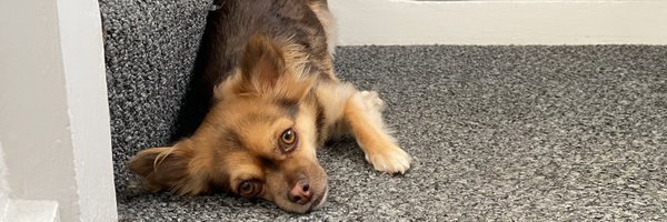 hottodz Profile Banner