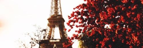 AshAlwaysTWRP's profile banner image