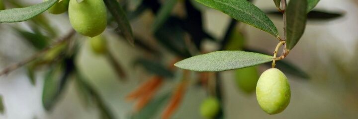 penelope138's profile banner image
