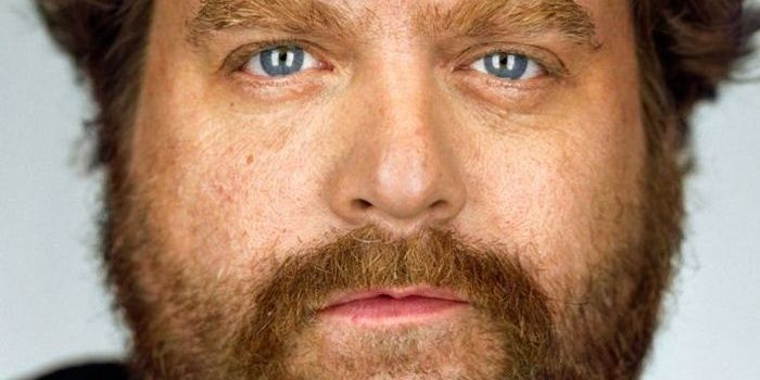HanbackDaniel's profile banner image