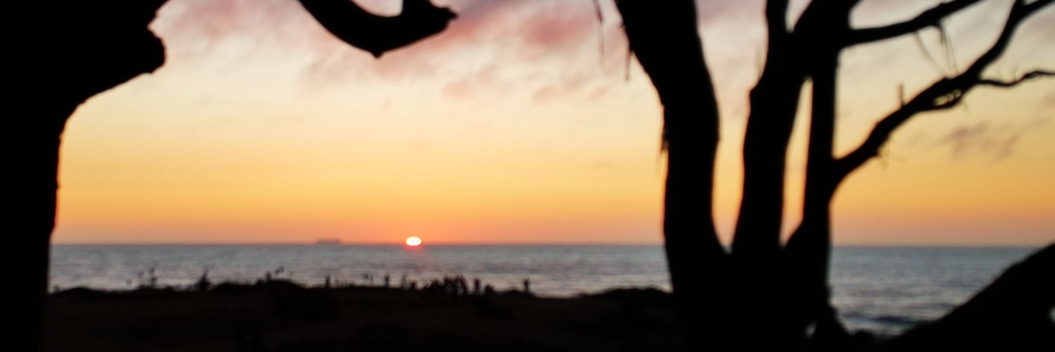 andreda_4's profile banner image