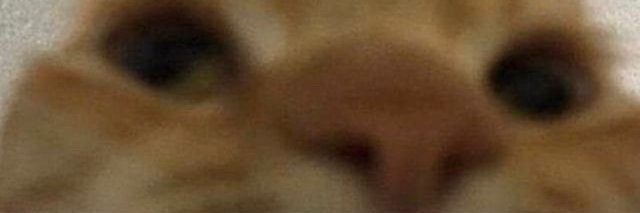 mia_grace13's profile banner image