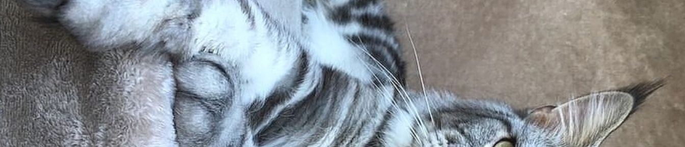 a48284's profile banner image
