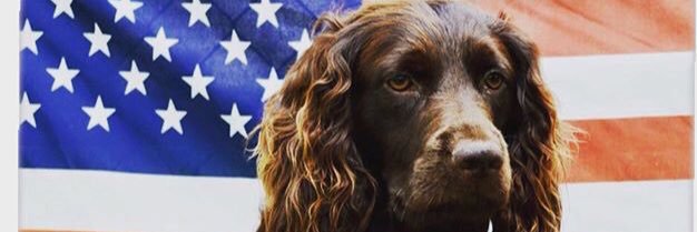 JesseBunch97's profile banner image