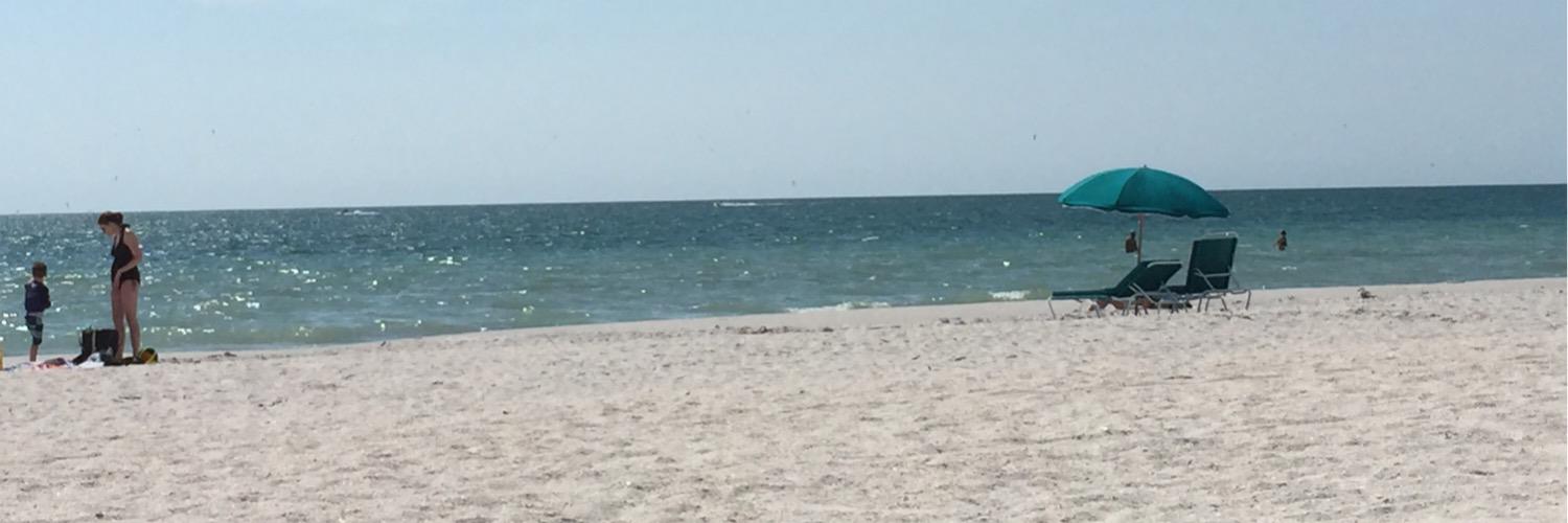 gingersanders1's profile banner image