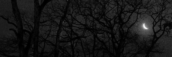 NUB4O Profile Banner