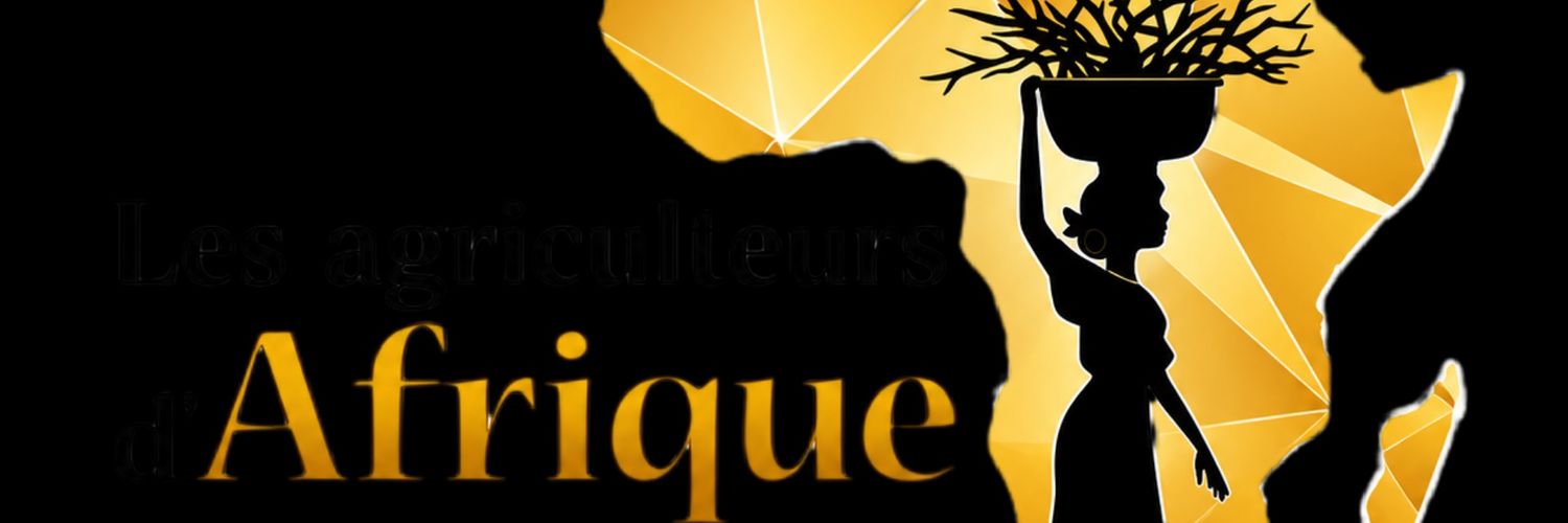 les2AA's profile banner image