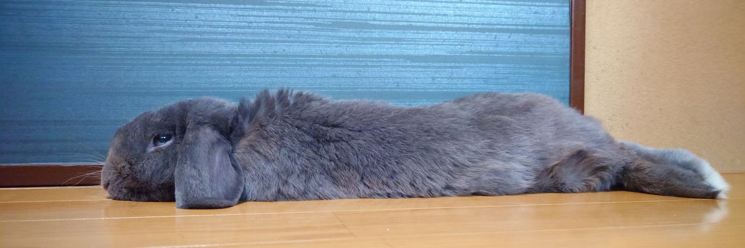 bubusuke4000's profile banner image