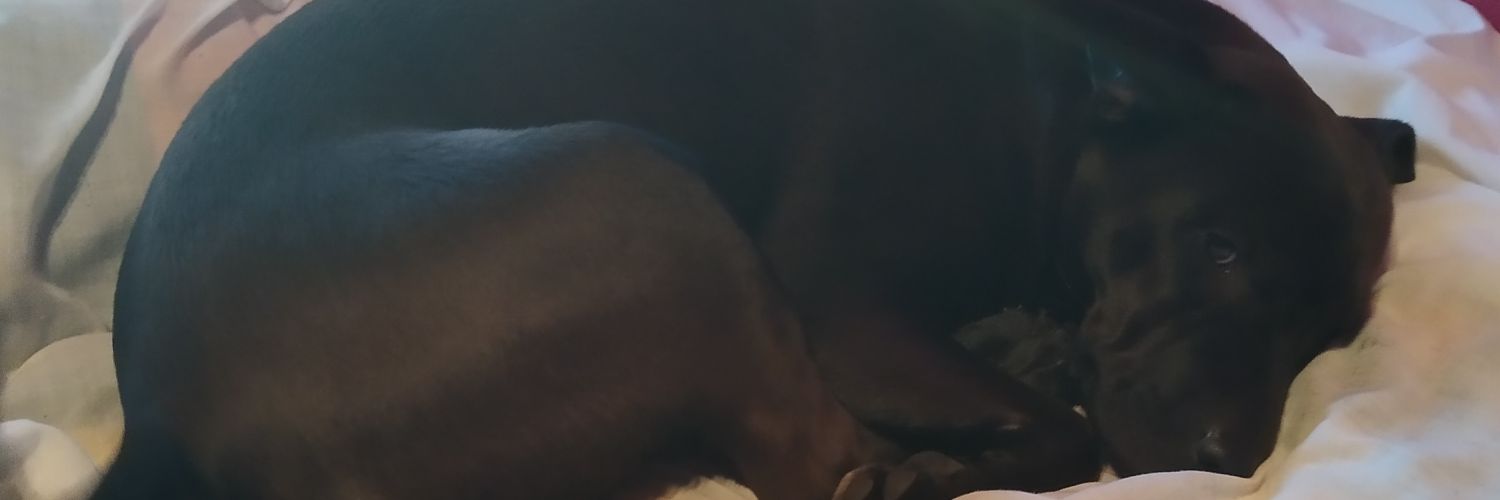 y. banner