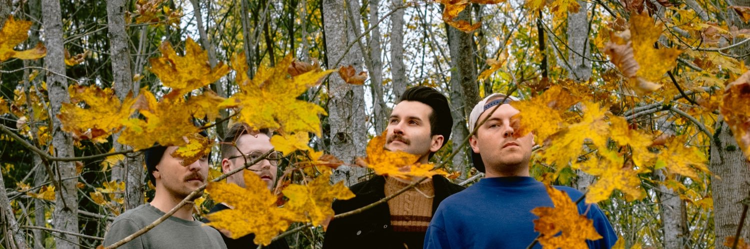 TreeSeasonBand's profile banner image