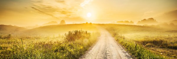 ROMA_Ont Profile Banner