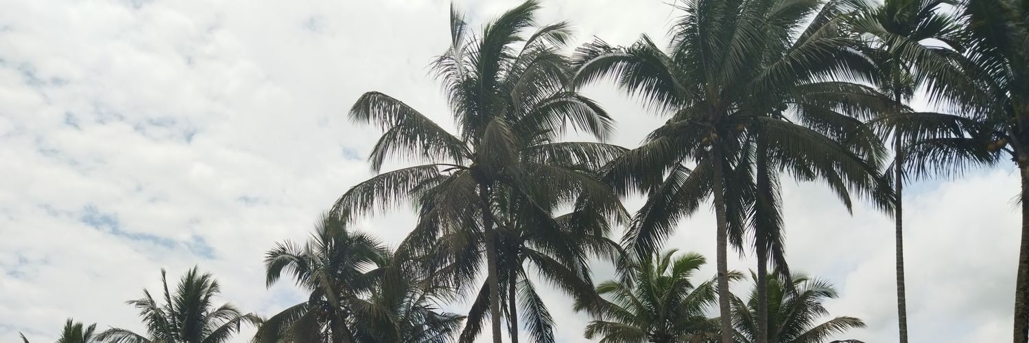SutanZed's profile banner image