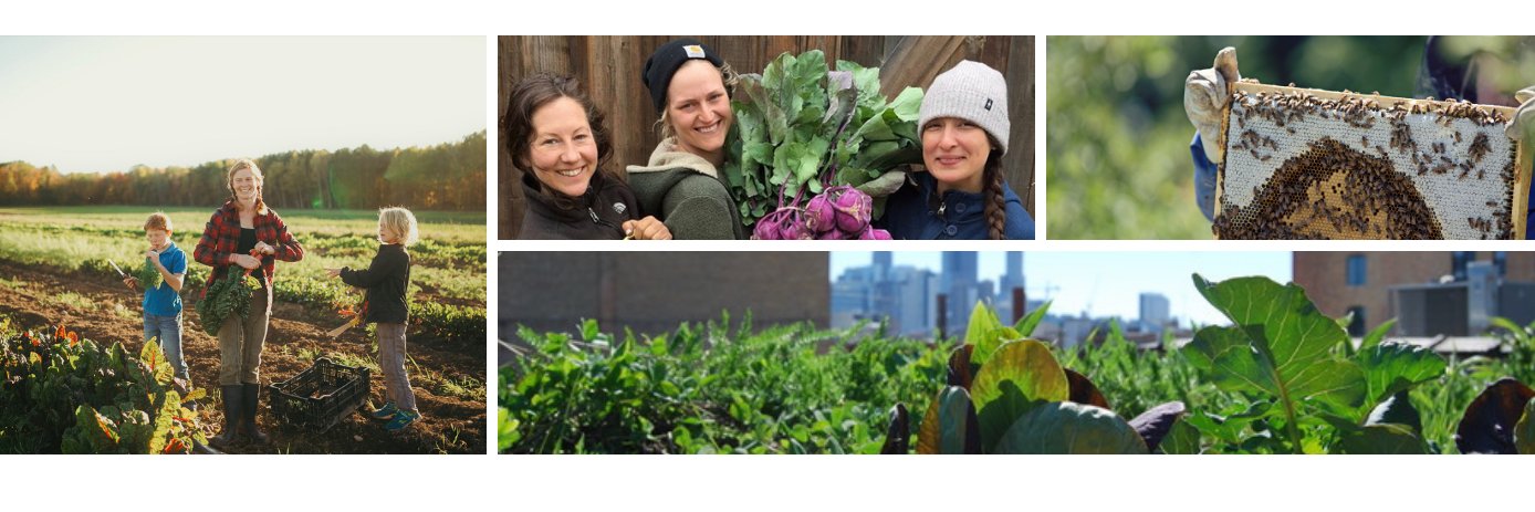 FruitGuys Community banner